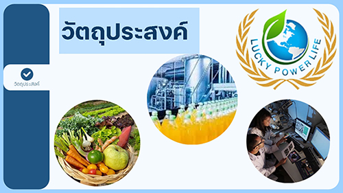 เกี่ยวกับบริษัท